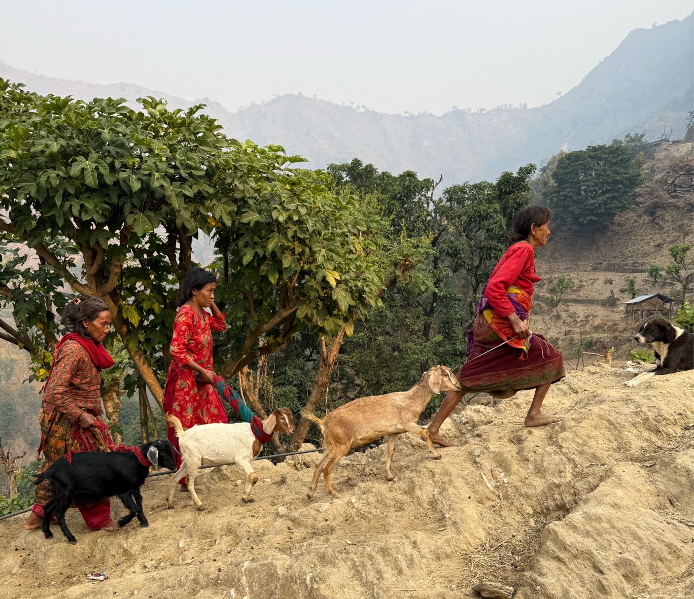 Getter 863x1000_01.jpg