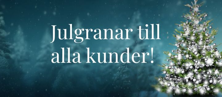 Nyhetsbild julgranar-2025.jpg