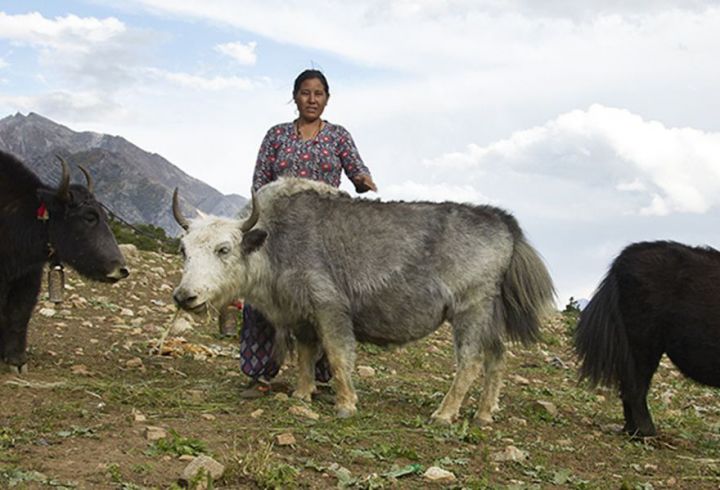 Föreningen för Gatubarn i Nepal