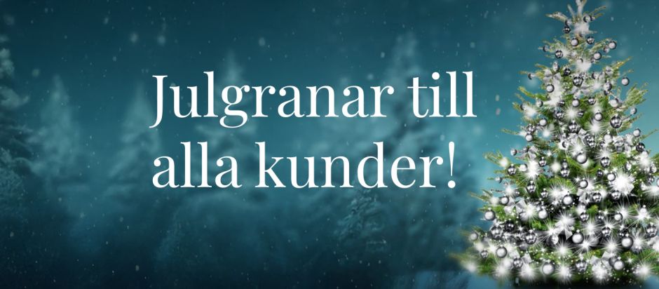 Nyhetsbild julgranar-2025.jpg